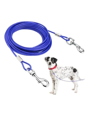 Correa Lab.G para perro