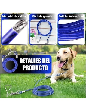 Correa Lab.G para perro