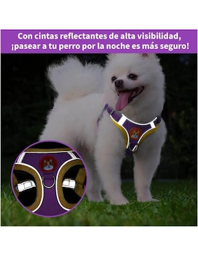 Arnés y correa La Abeja de nylon para perro