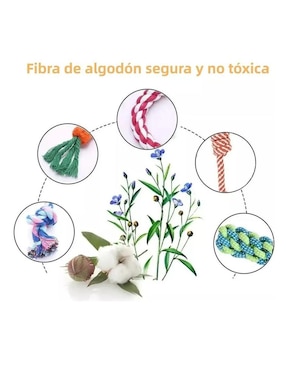 Kit de juguetes para perro Lab.G