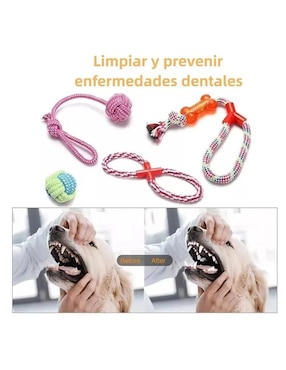 Kit de juguetes para perro Lab.G