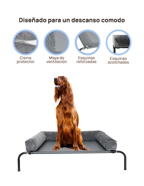 Casa para perro Level Home