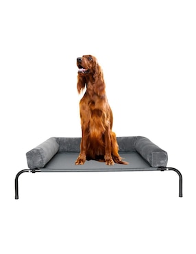 Casa para perro Level Home