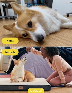 Cama para perro Petpal