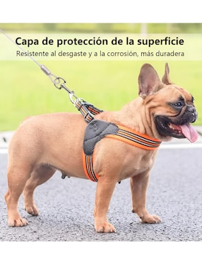 Correa Xtellar de acero para perro