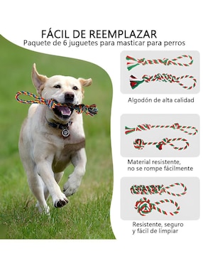 Kit de juguetes para perro Xtellar