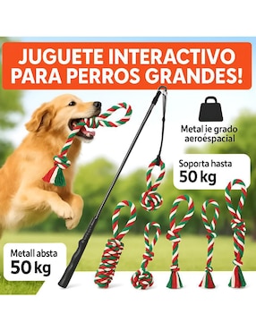 Kit de juguetes para perro Xtellar