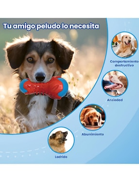 Juguete para perro Xtellar
