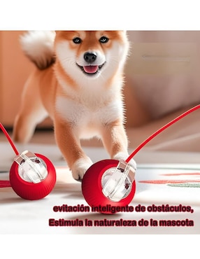 Pelota para gato Xtellar