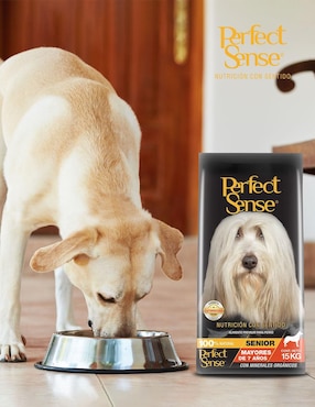 Croqueta Perfect Sense de pollo para perro etapa senior contenido 15 kg