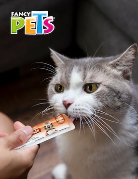 Premio Fancy Pets de salmón para gato 56 g