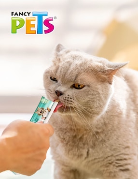 Premio Fancy Pets de salmón para gato 56 g