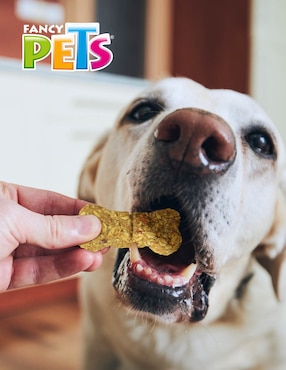 Galletas Fancy Pets de crema de cacahuate premio para perro 130 g