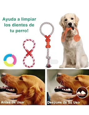 Kit de juguetes para perro Xtellar