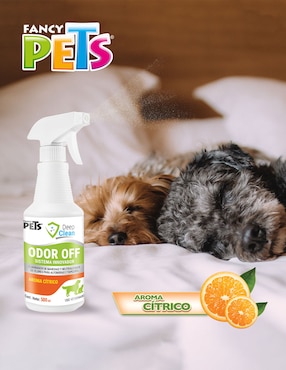 Solución limpiadora Fancy Pets para mascota