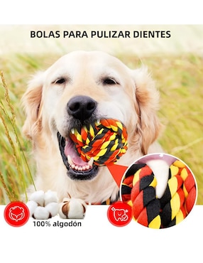 Pelota para perro Xtellar