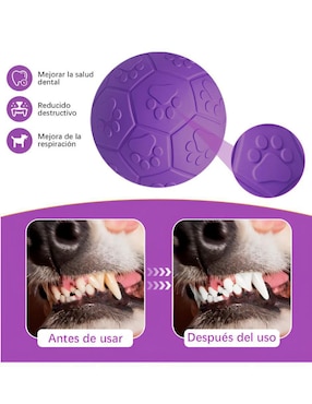 Pelota para perro Xtellar