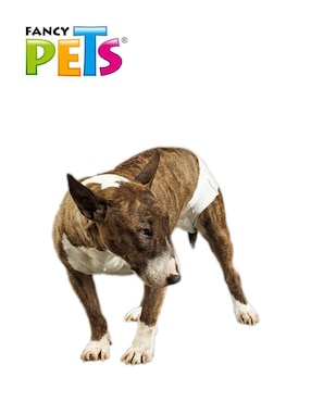 Pañal para mascota Fancy Pets para perro