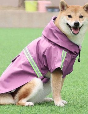 Sudadera Maypet para perro
