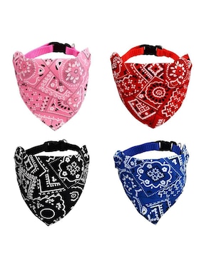 Set collar Xtellar para perro