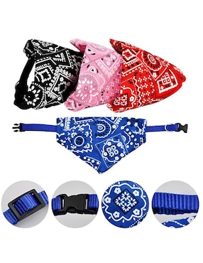 Set collar Xtellar para perro