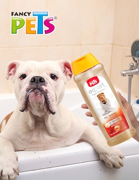Shampoo Fancy Pets para perro