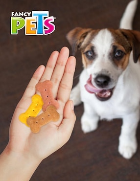 Galletas Fancy Pets de diferentes sabores cuidado general para perro 400 g