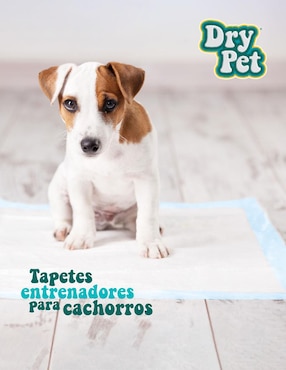 Tapete entrenador Dry Pet para perro