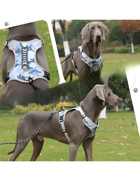Pechera Xtellar para perro