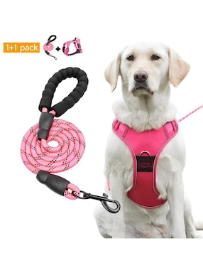 Pechera Xtellar para perro