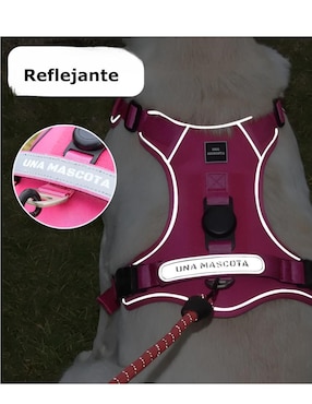 Pechera Xtellar para perro