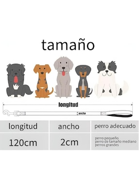 Correa y collar Xtellar de nylon para perro y gato