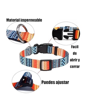 Correa y collar Xtellar de nylon para perro y gato