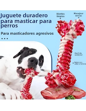 Juguete para perro Xtellar