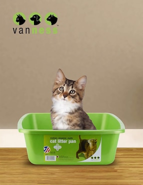 Arenero vanness para gato