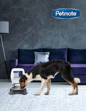 Bebedero transparente para perro petmate