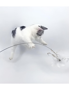 Juguete para gato xtellar