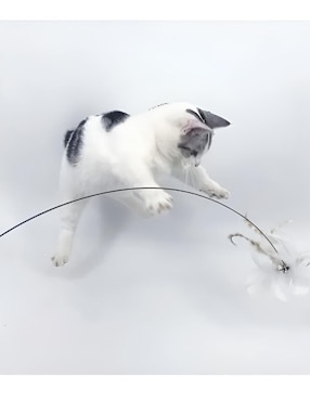 Juguete para gato xtellar