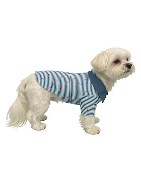 Playera para perro Zoopet