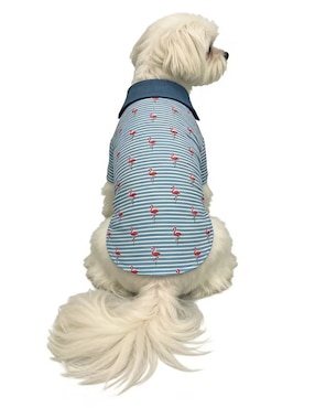 Playera para perro Zoopet