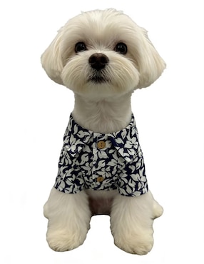 Playera para perro Zoopet Semana Santa