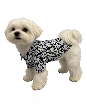 Playera para perro Zoopet Semana Santa