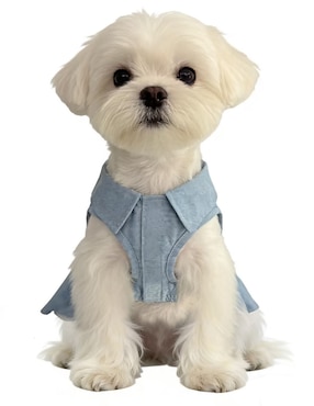 Vestido para perro Zoopet