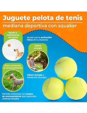 Paquete de pelotas para perro Xtellar