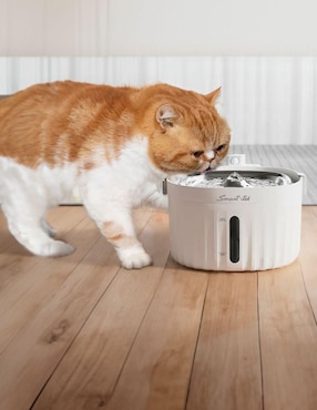 Bebedero transparente para perro y gato Smart-tek 2L