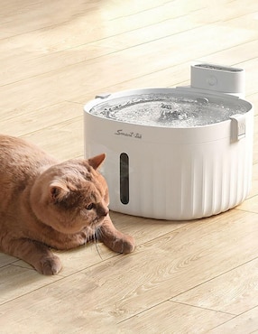 Bebedero transparente para perro y gato Smart-tek 2L