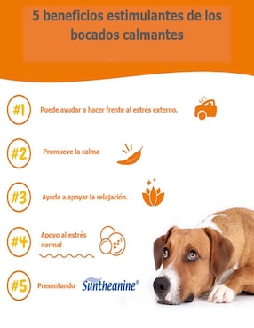 Suplemento alimenticio para mascota reducir estrés y ansiedad Zesty paws