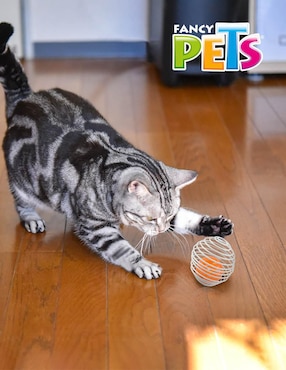 Juguete para gato Fancy Pets