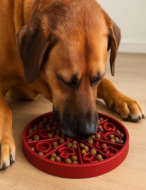 Plato para perro Mi pañuelo