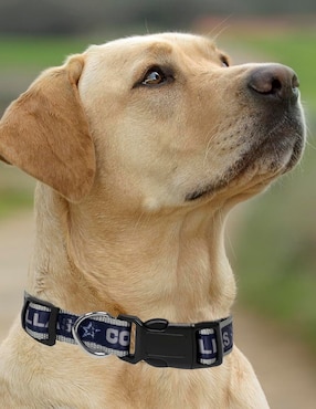 Collar Nfl para perro y gato